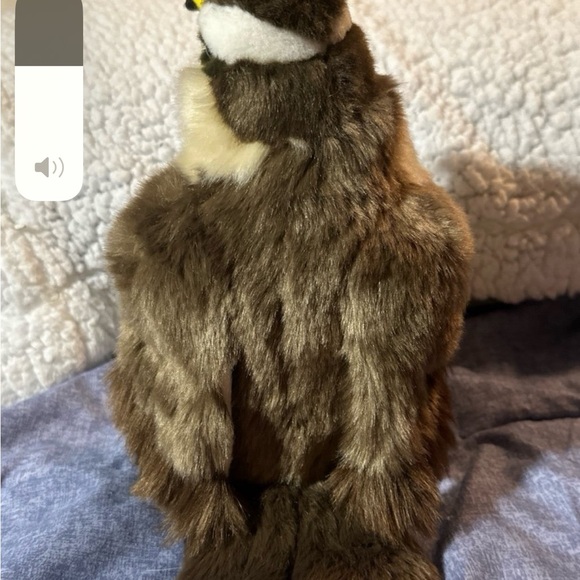 Tiger Tale Toys Realistic Falcon Stuffed Animal Plush Toy 12" from head to tail - Picture 5 of 7